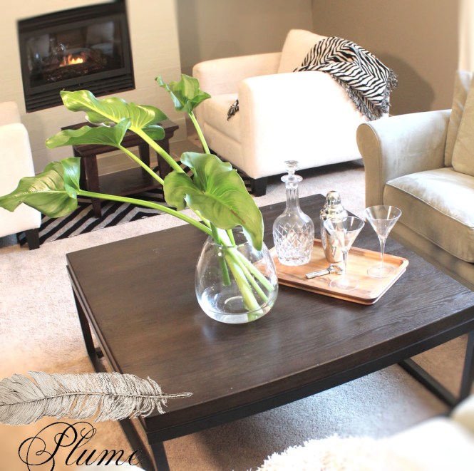 Buyers can see a room within a room