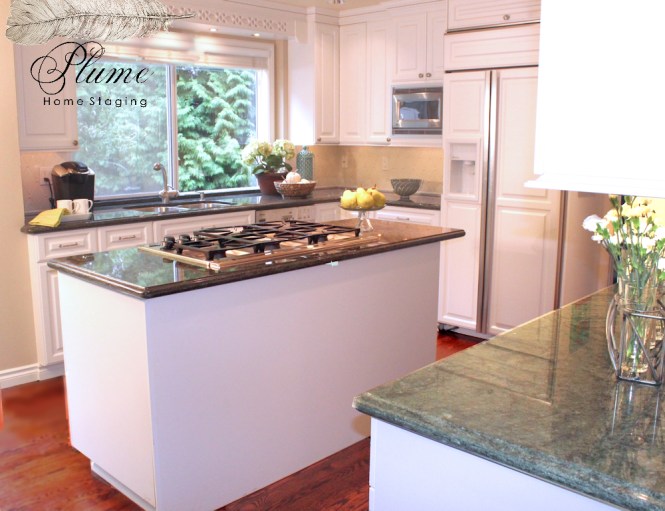 Staged Kitchen : Newcastle